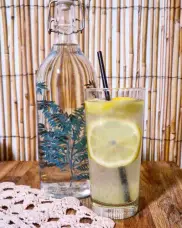 Dessert vegan fait maison - La Plume V&eacute;g&eacute;tale