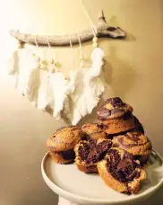 Boisson artisanale vegan - La Plume V&eacute;g&eacute;tale